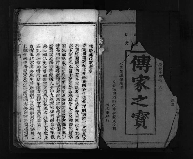 族谱预览