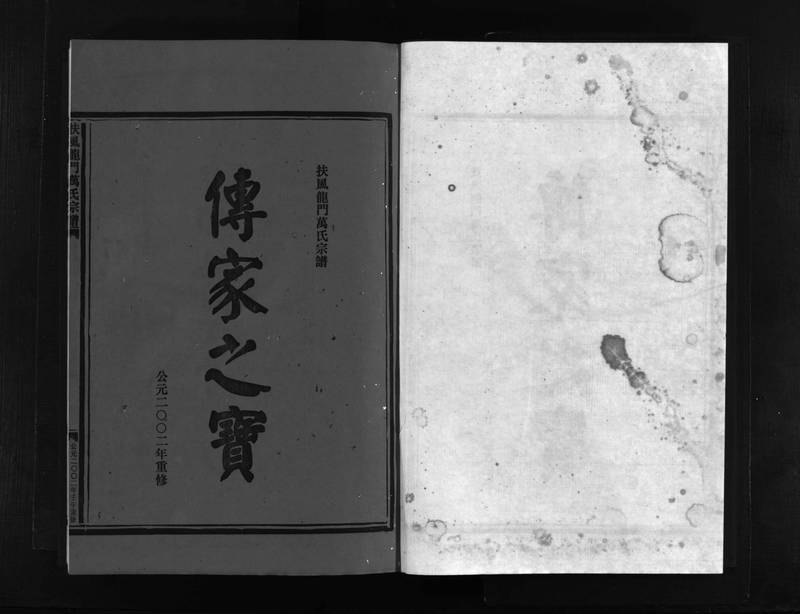 族谱预览