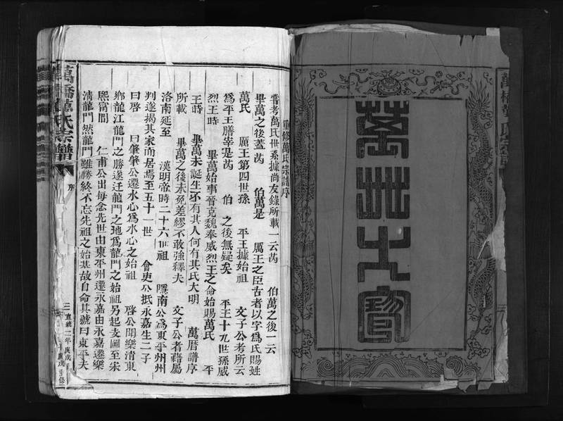 族谱预览