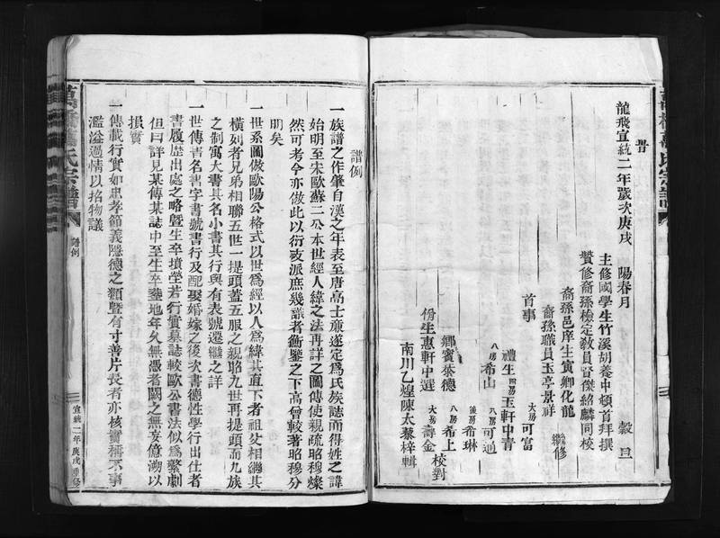 族谱预览