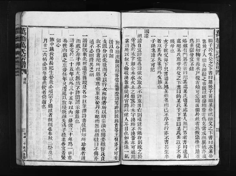 族谱预览