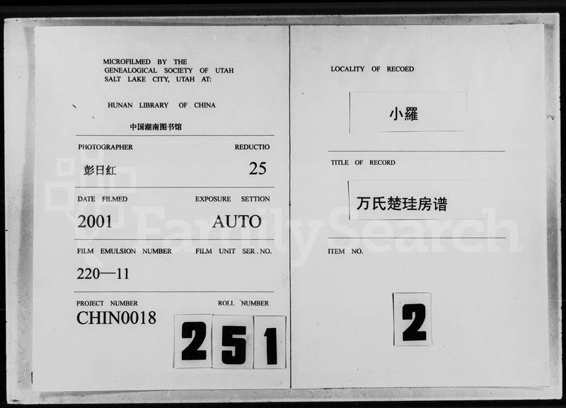 族谱预览