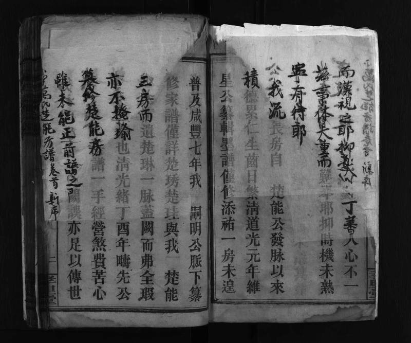 族谱预览