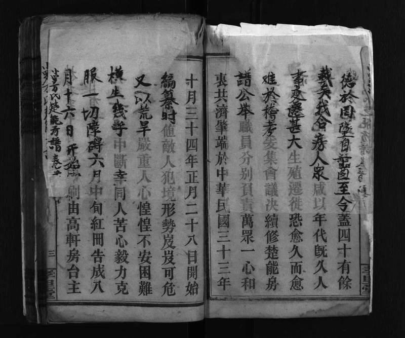 族谱预览