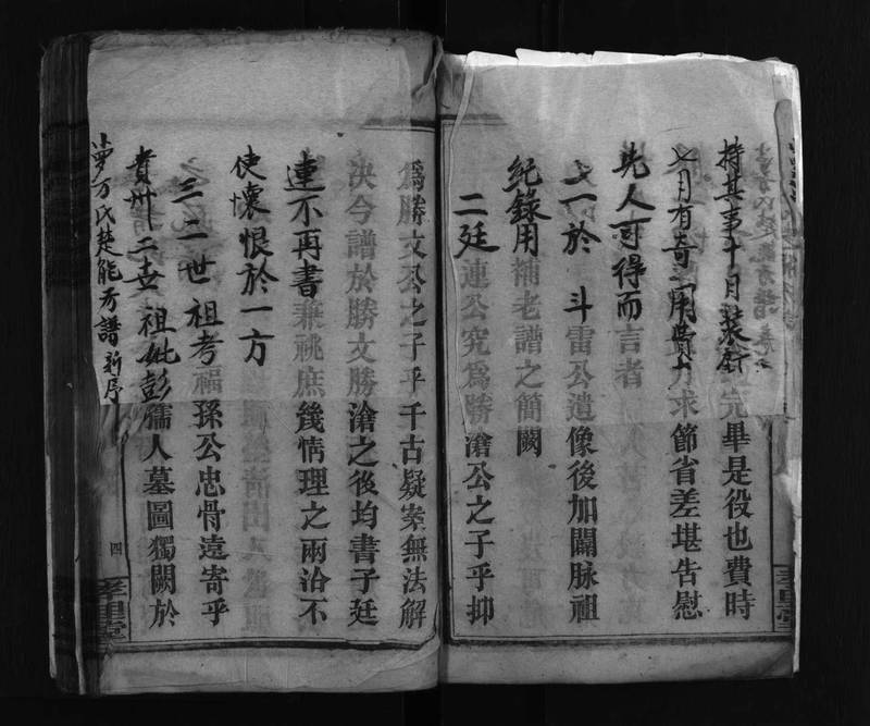 族谱预览
