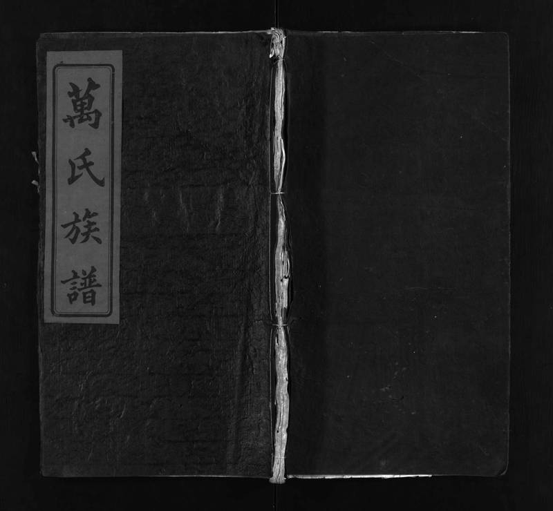 族谱预览
