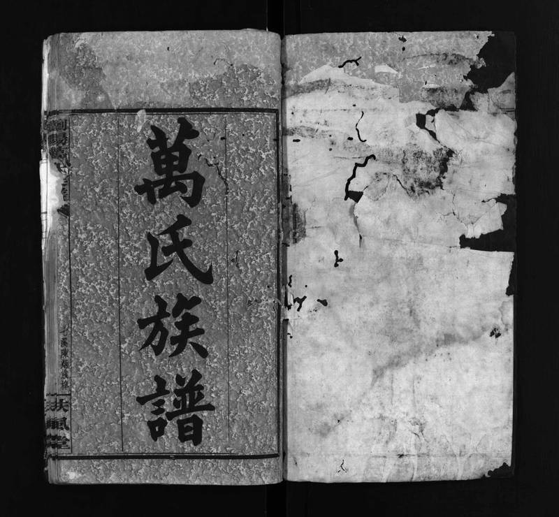 族谱预览