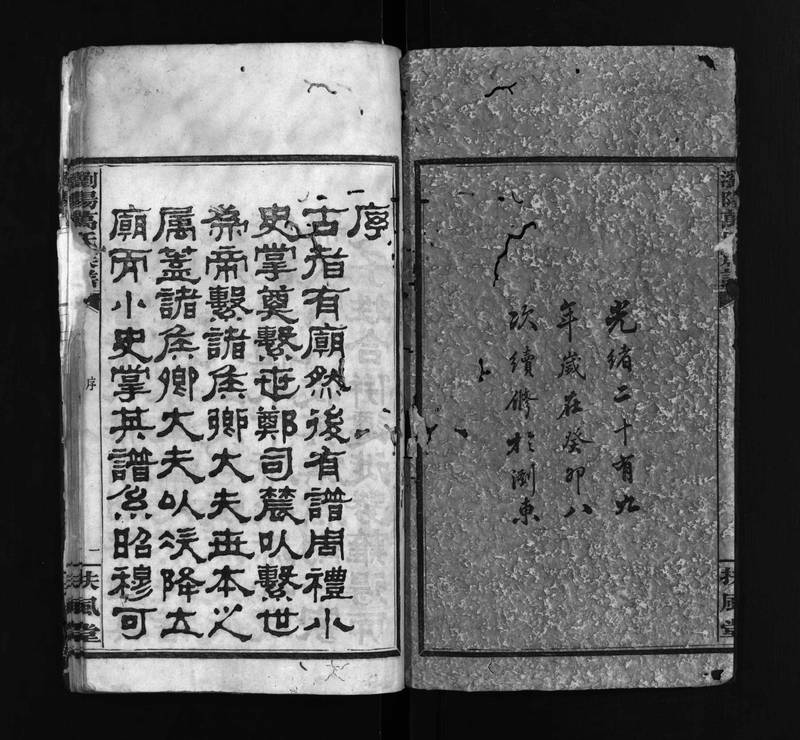 族谱预览