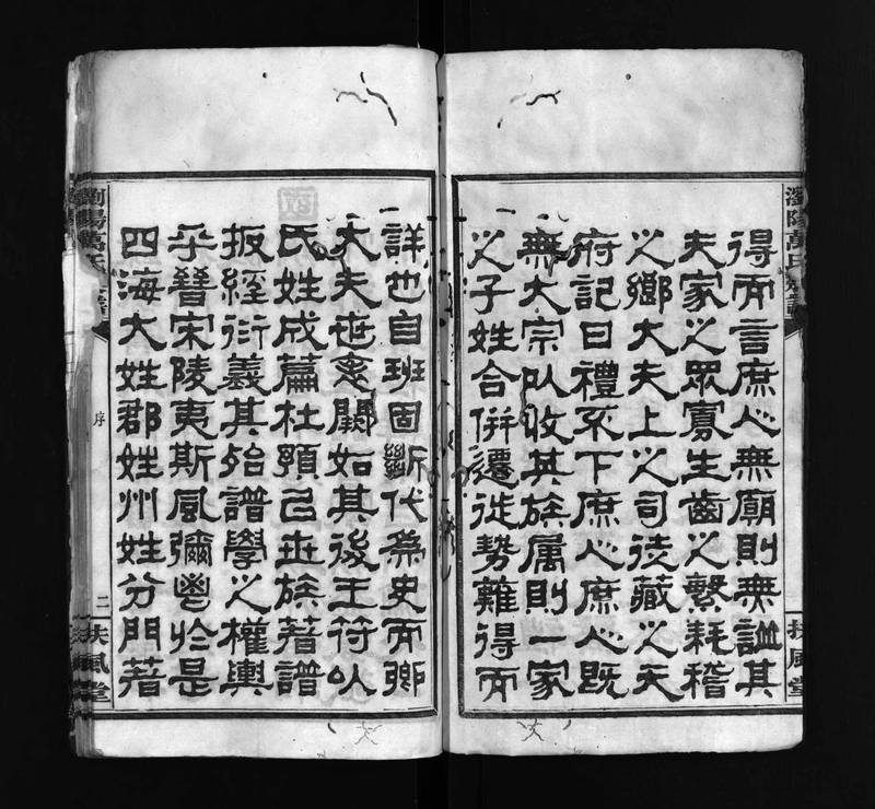 族谱预览