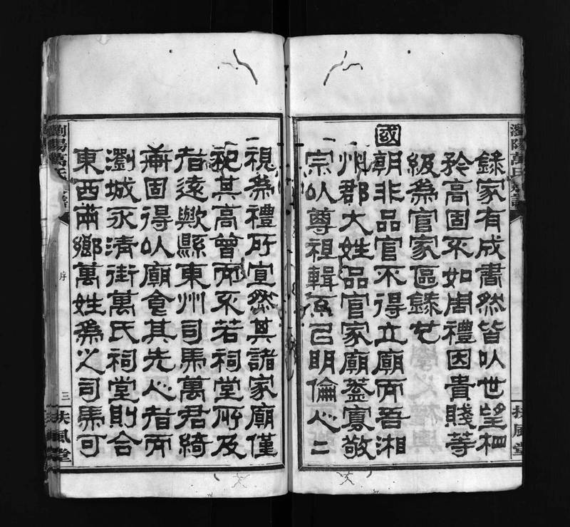 族谱预览