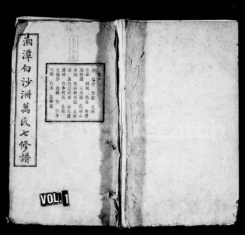 族谱预览
