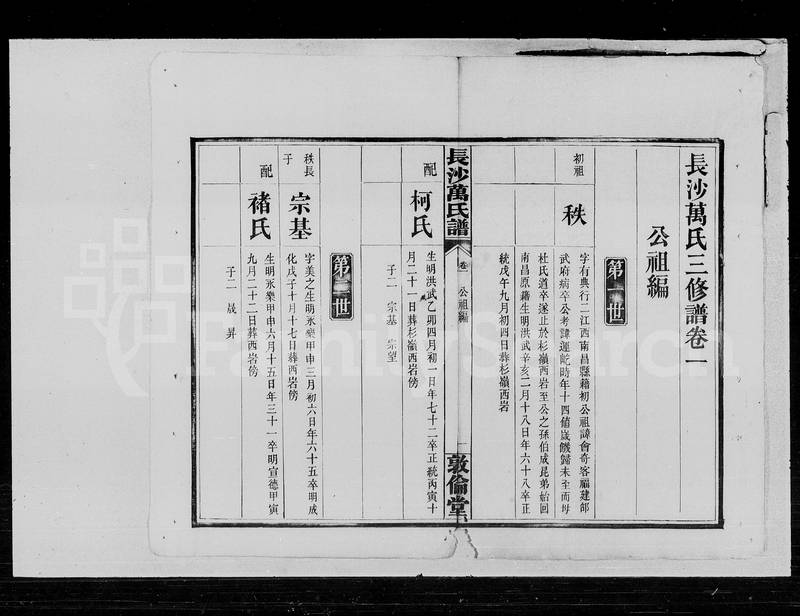 族谱预览