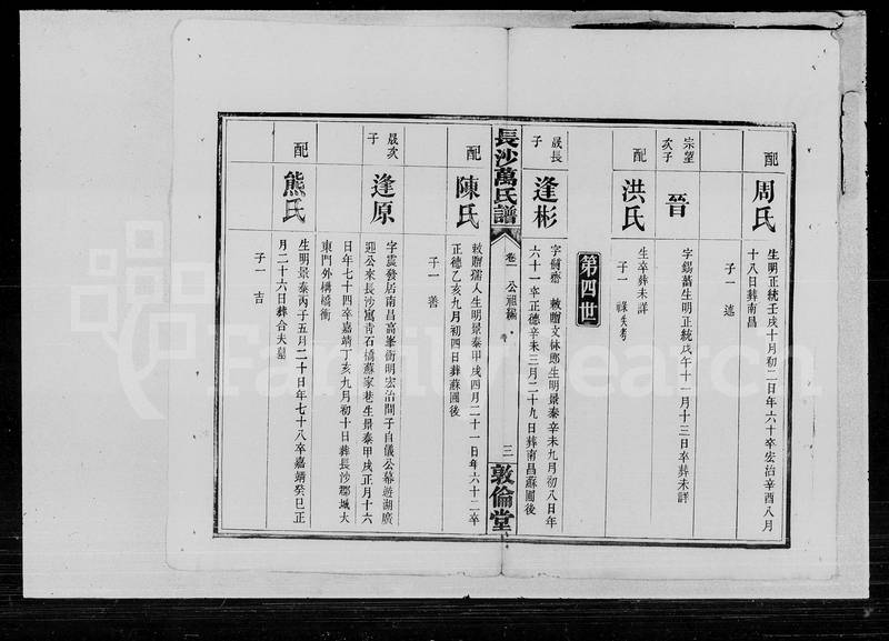族谱预览