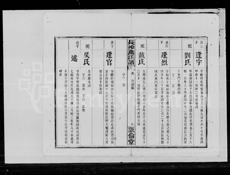 族谱预览