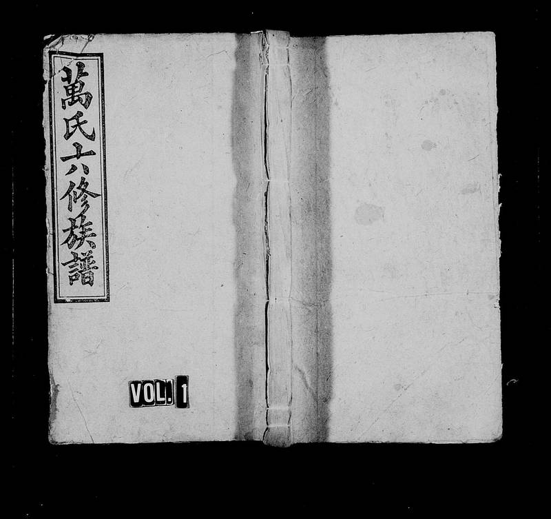 族谱预览