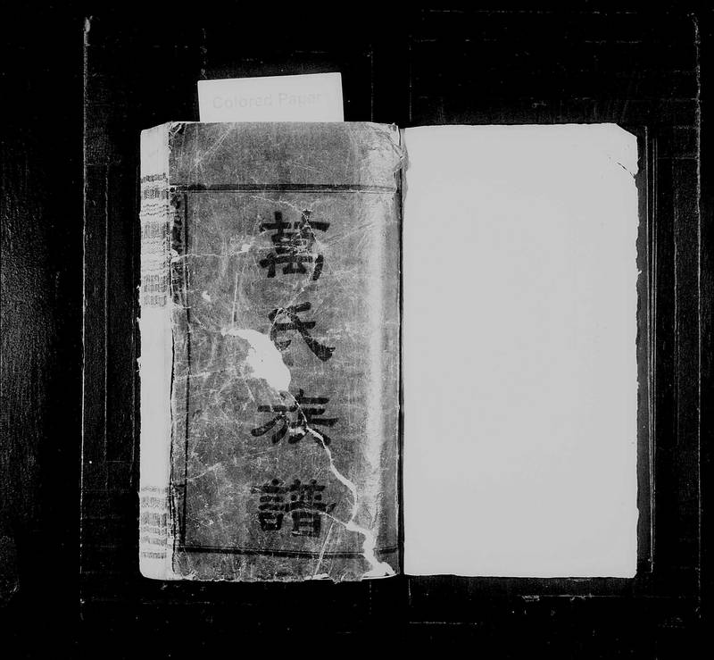 族谱预览