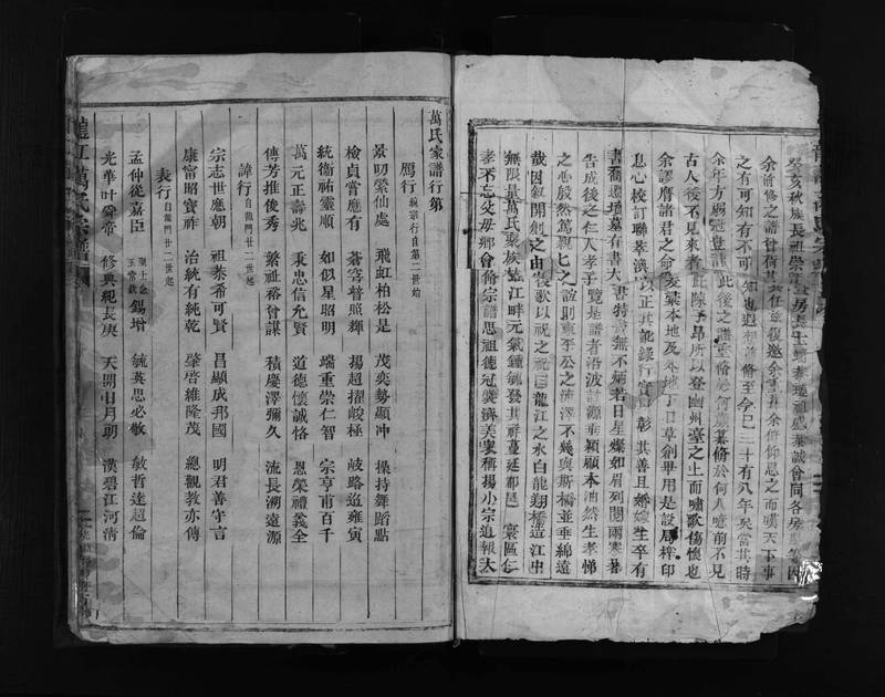 族谱预览