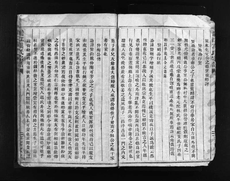 族谱预览