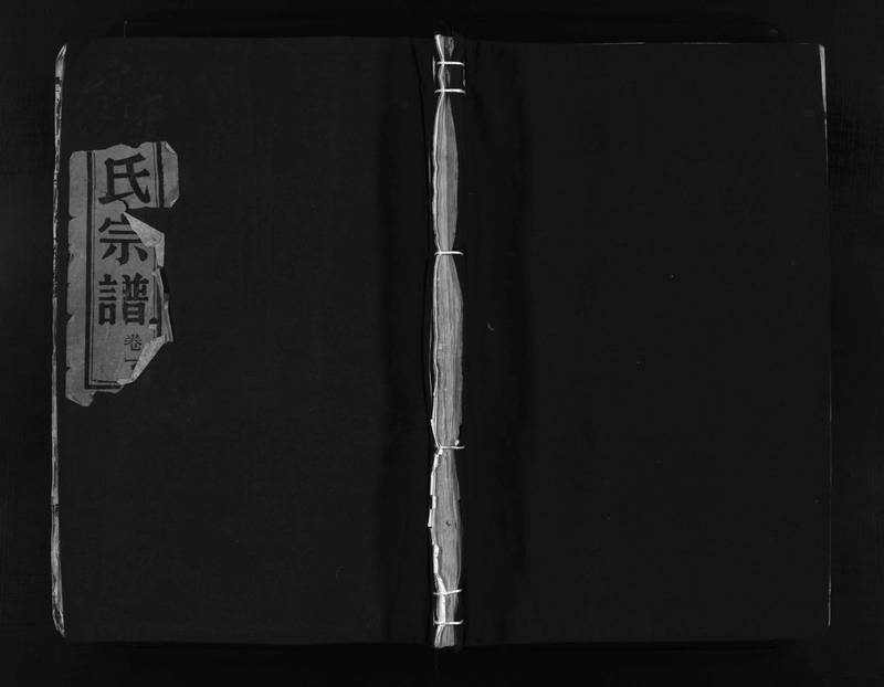 族谱预览