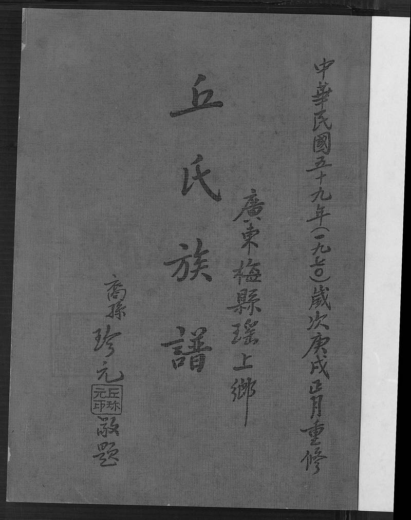 族谱预览