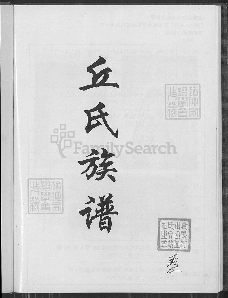 族谱预览
