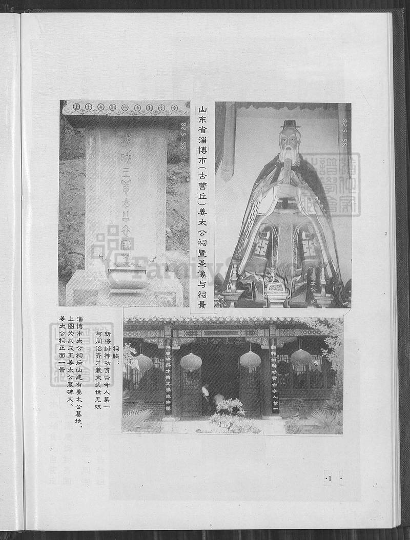 族谱预览