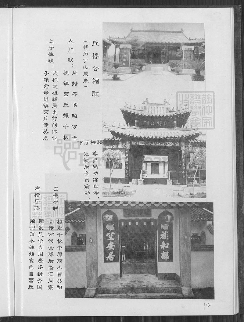 族谱预览