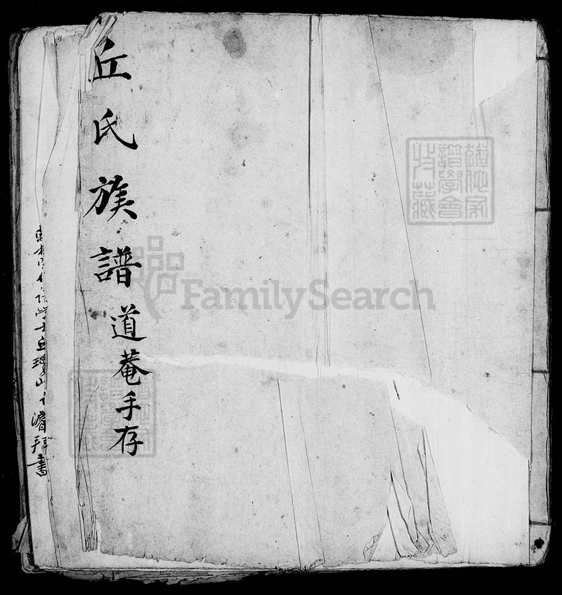 族谱预览
