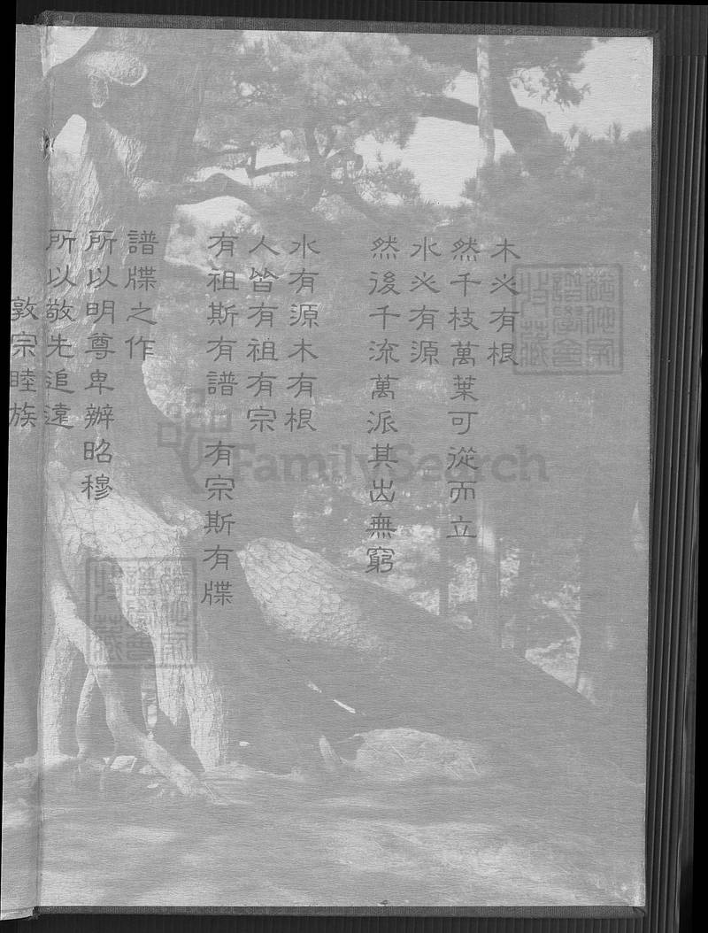 族谱预览