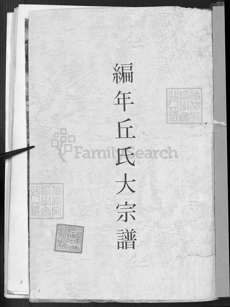 族谱预览