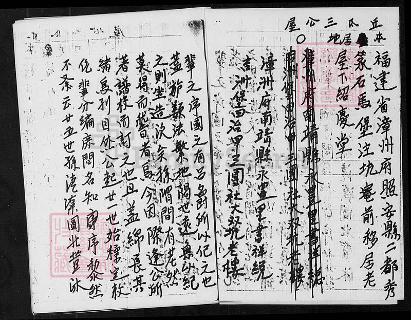 族谱预览