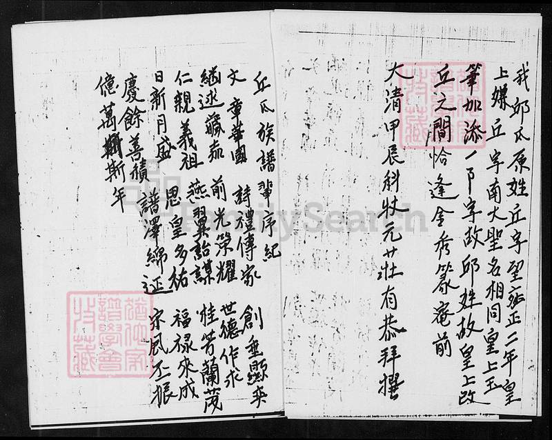 族谱预览