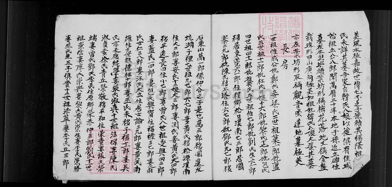 族谱预览