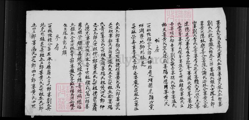 族谱预览