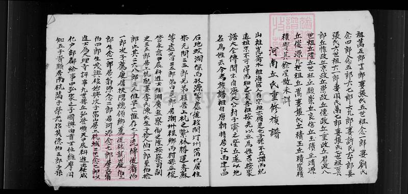 族谱预览