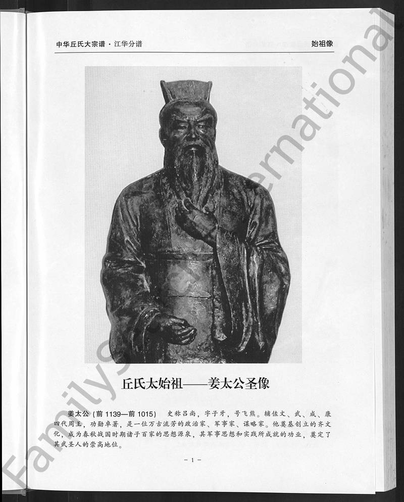 族谱预览