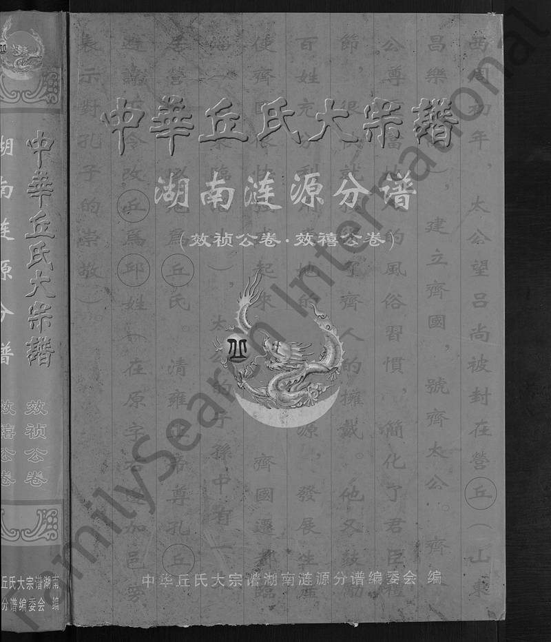 族谱预览