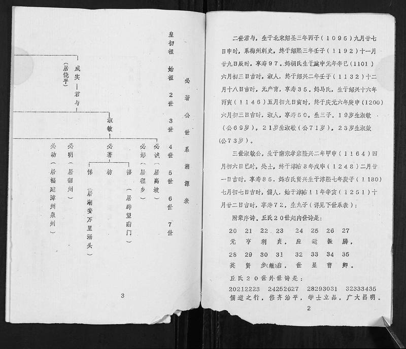 族谱预览