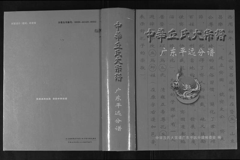 族谱预览