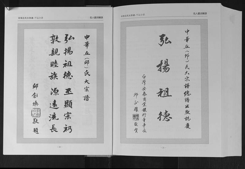 族谱预览
