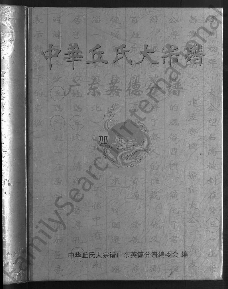 族谱预览
