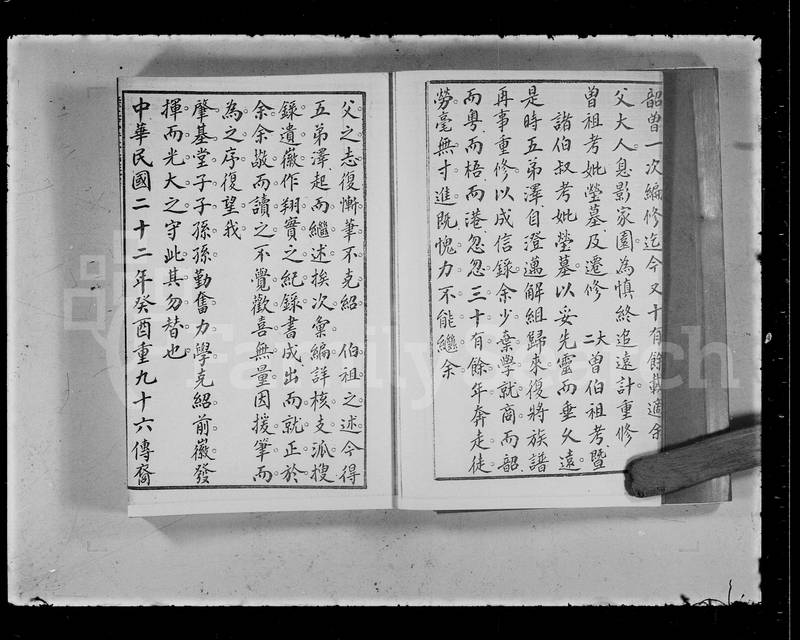 族谱预览