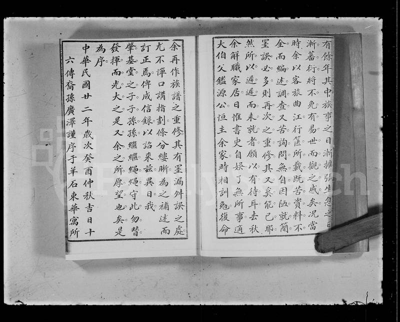 族谱预览