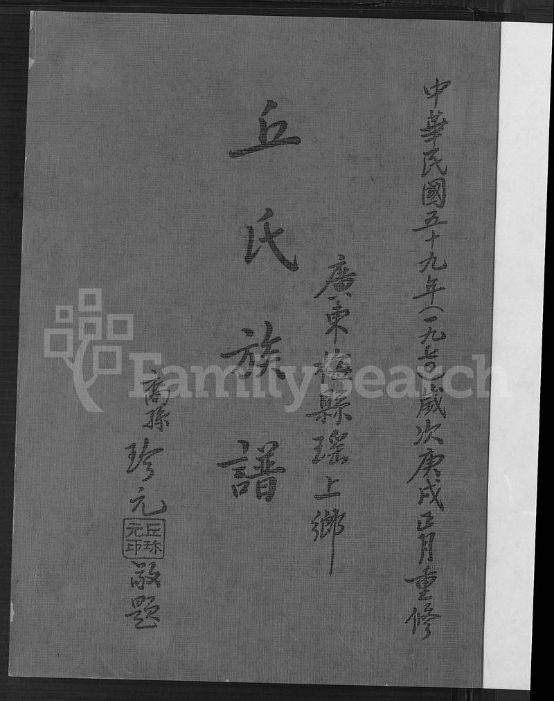 族谱预览