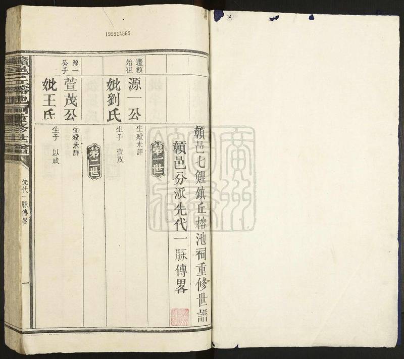 族谱预览