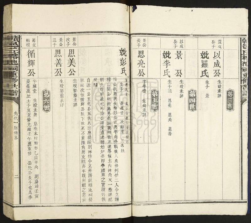 族谱预览