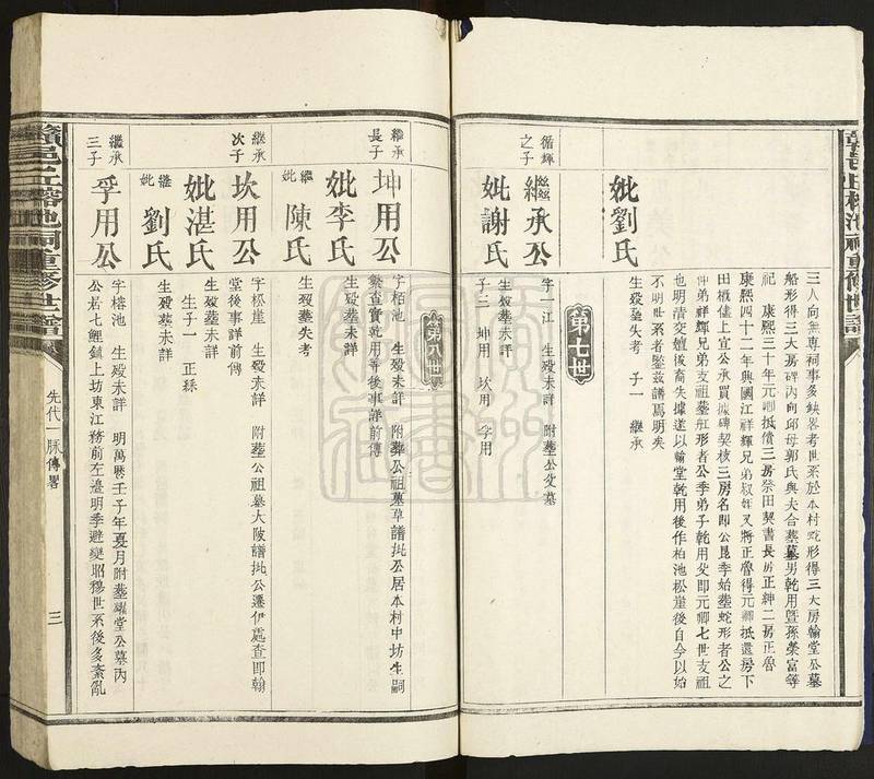 族谱预览