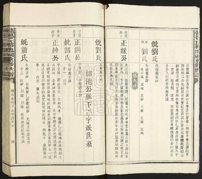 族谱预览