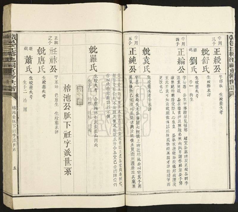 族谱预览