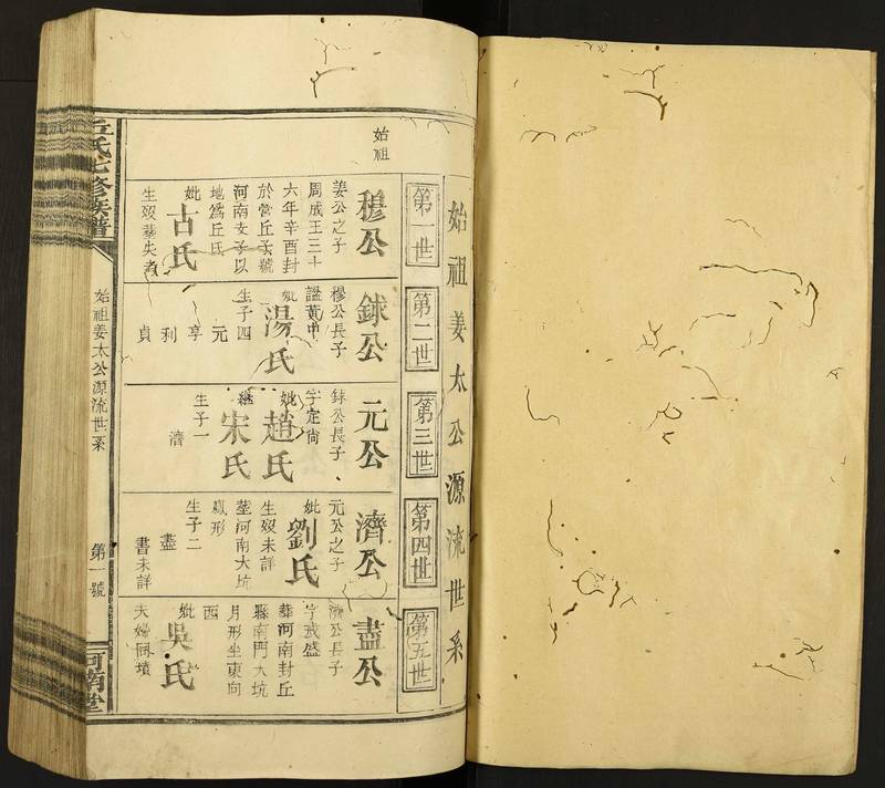 族谱预览